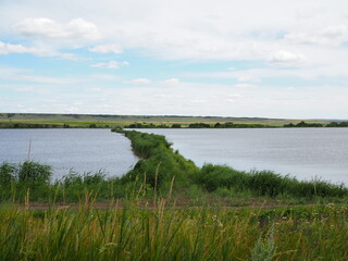 view of an agricultural meadow with two rectangular fish ponds and dark trees