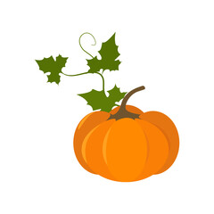 Vector illustration. Pumpkin on a white isolated background.