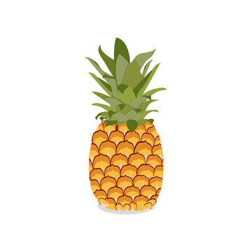 Vector illustration. Pineapple on a white isolated background.