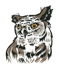 Illustration of an owl. Owl vector graphic. Scanned linocut with the image of an owl. Graphic illustration of an owl.