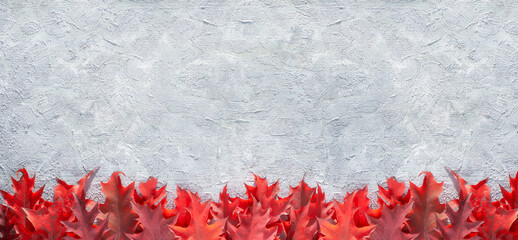 Decorative border made of red oak leaves on grey textured background, panoramic image, copy-space.