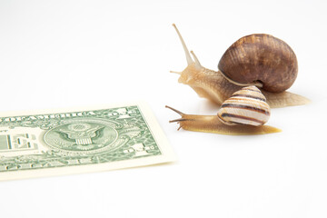 metaphor for achieving financial success in business. snails run on a running track for wealth. perseverance in work and time to win. business competition display concept
