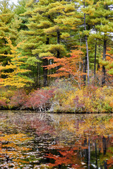 Nature landscape of Massachusetts, USA