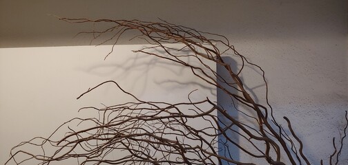 A twisting branch stretching along the wall and a subtle blue light