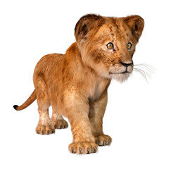 Fototapeta na wymiar 3D Rendering Lion Cub on White