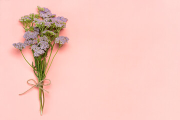 Bouquet of herbal flowers on pink background with copy space.