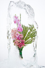 Frozen orchid bouquet with huge green leaf inside the ice block