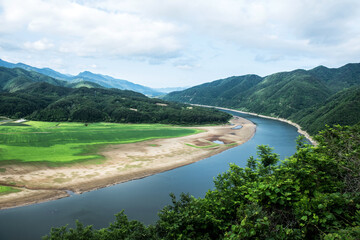 Beautiful rural scenic landscape,Avena Sativa,Oat green field of the riverside.
