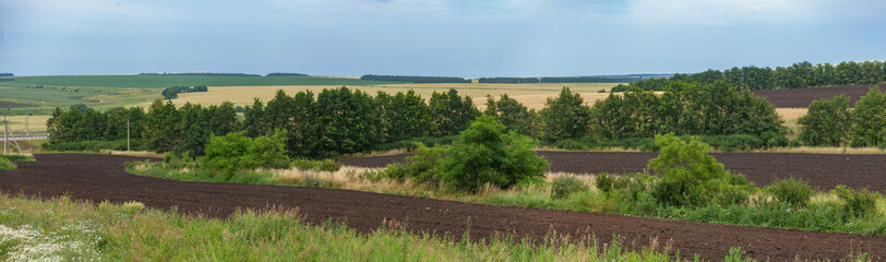 Fototapeta na wymiar Landscape with arable, forest belts and fields