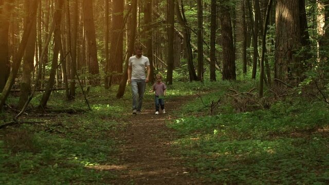 Young father and little child girl walk along forest path in large summer forest at sunset. Happy family leisure outdoors. Nature.