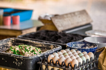Blurred abstract background of gardening equipment, salted egg making using a mixture of (chalk, salt, duck egg, clean water) as an ingredient.