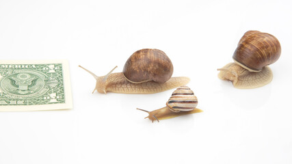 metaphor for achieving financial success in business. snails run on a running track for wealth. perseverance in work and time to win. business competition display concept