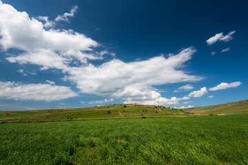 Dirt road leading to the top of the hill at summertime, beautiful white clouds on dark blue sky.