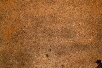 Background, wood texture without varnish
