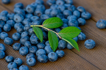 Fresh blueberry and leaf on wooden background. Texture blueberry berries close up. Vegan and vegetarian concept