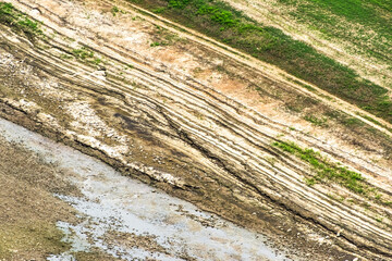 Beautiful rural scenic landscape,Avena Sativa,Oat green field of the riverside.