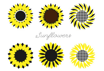 Sunflowers set. T-shirt and mug design.