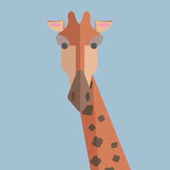 Giraffe with a long neck and spots on the skin that looks