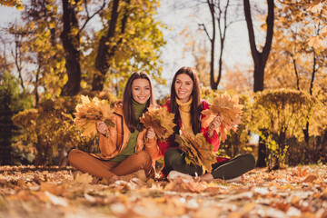 Portrait of two nice attractive pretty lovely cheerful girlfriends spending free spare time October holding in hands bunch tree leaves sitting lotus pose enjoying photo session