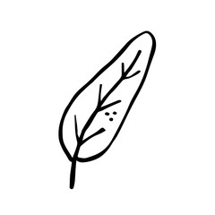 Herbs. Ink plant. Black color. Vector illustration isolated on white background. Little leaf. 