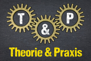 T&P Theorie & Praxis