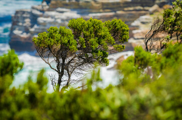 Kapstadt und Umgebung