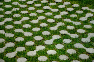 grass pavers block tiles made of concrete in the shape of connected circles amoeba gray shape...