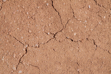 Fototapeta premium Dried clay with cracks for texture