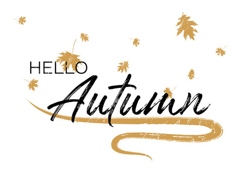 Hello autumn seasonal calligraphic banner vector design with falling dry leaves.