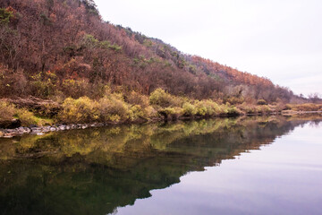 Landscape Lake. beautiful reflection.