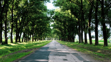 View of the nature of Moldova