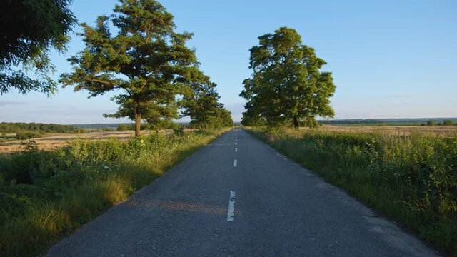 Empty road across summer fresh nature. Sunny background. Nobody. Traveling concept. Green tourism business. Map application. Countryside area. Twilight sunshine. No traffic. Moving camera. 4K