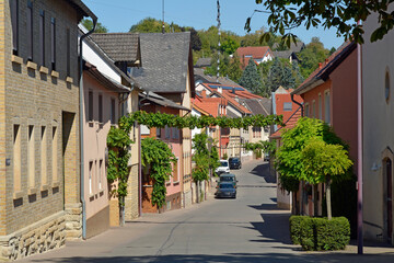 Fototapeta na wymiar weindorf vendersheim, rheinhessen