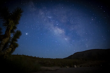 starry night sky