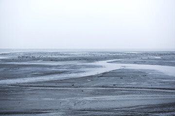 The beautiful and curious tidal mud flat.