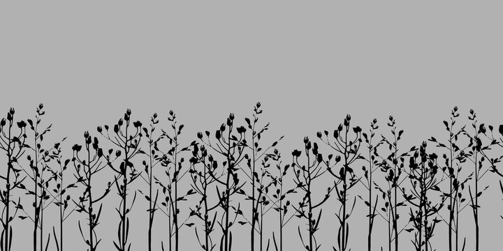Border. Silhouettes of grass on a gray background. Vector © Uzorchik