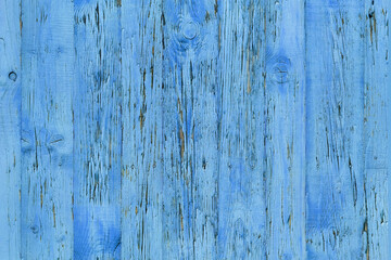 Fototapeta na wymiar Wood texture, old boards with peeling blue paint