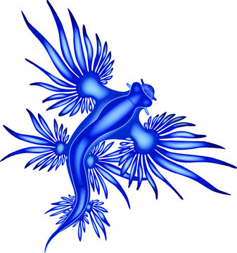 Vector illustration of a Blue Dragon Fish