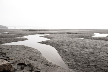 The beautiful and curious tidal mud flat.