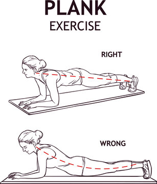 Plank Workout Images Browse 88 Stock Photos Vectors and Video Adobe Stock