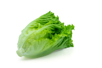 Fresh green Lettuce leaves, Salad leaf isolated on white background. with clipping path.