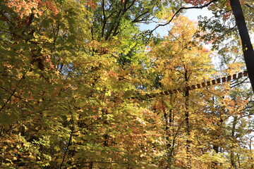 カナダのトロント郊外のハートレーク保護公園　Heart Lake Conservation Park