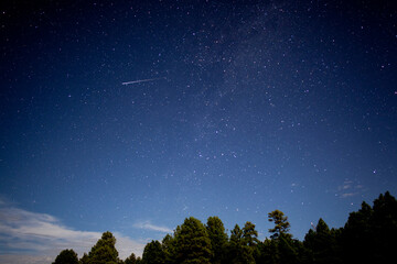 A meteor streaking across the night sky above a forest