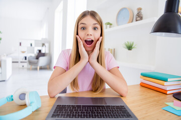 Close up photo of amazed little kid girl sit cozy comfort table use laptop have online teacher conversation impress her good test grads she touch hands face in house indoors