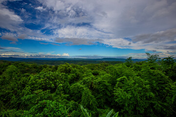 Obraz premium Natural background, high angle from the high mountains that can see the scenery around, the wind blows through the cool, blurred of traveling, the integrity of the moist forest.