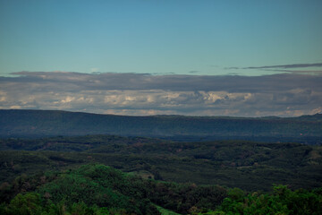 The panoramic background of the green rice fields, with wooden bridges to walk in the scenery and the wind blows through the cool blurred while traveling.