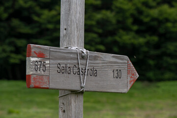 APPENNINO TOSCO EMILIANO | FLORA | SORGENTE DEL SECCHIA