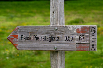 APPENNINO TOSCO EMILIANO | FLORA | SORGENTE DEL SECCHIA