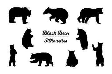 Fototapeta premium Black bear animal silhouettes.