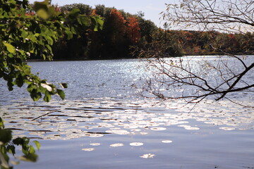 カナダのトロント郊外のハートレーク保護公園　Heart Lake Conservation Park